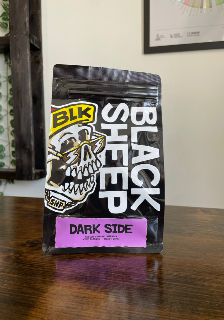 2 Bag Coffee Subscription (2x300g)